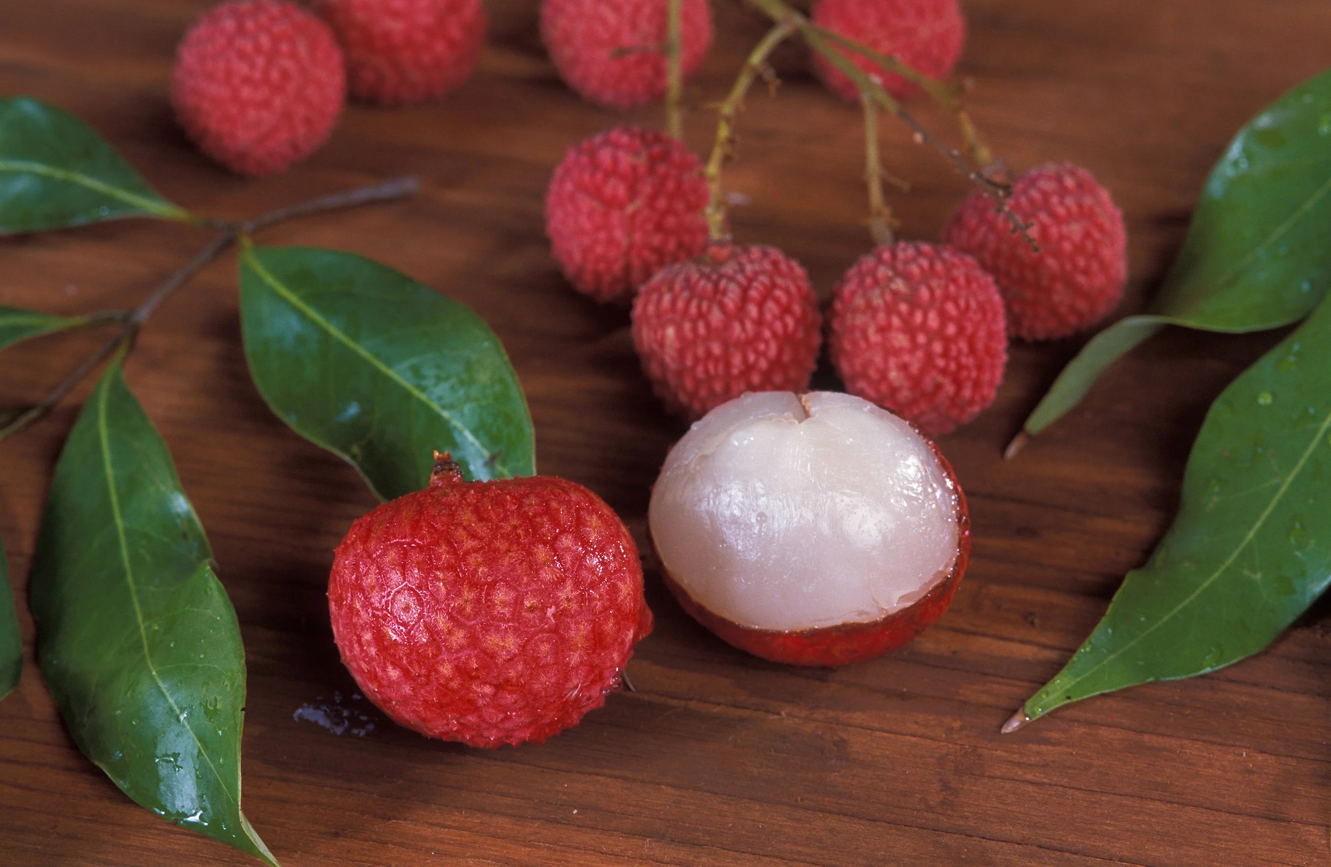 frutas com a letra L para o jogo Stop