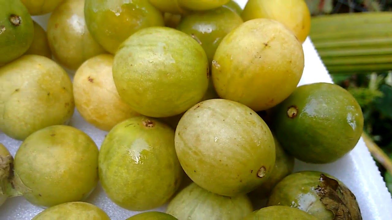 frutas brasileiras com i