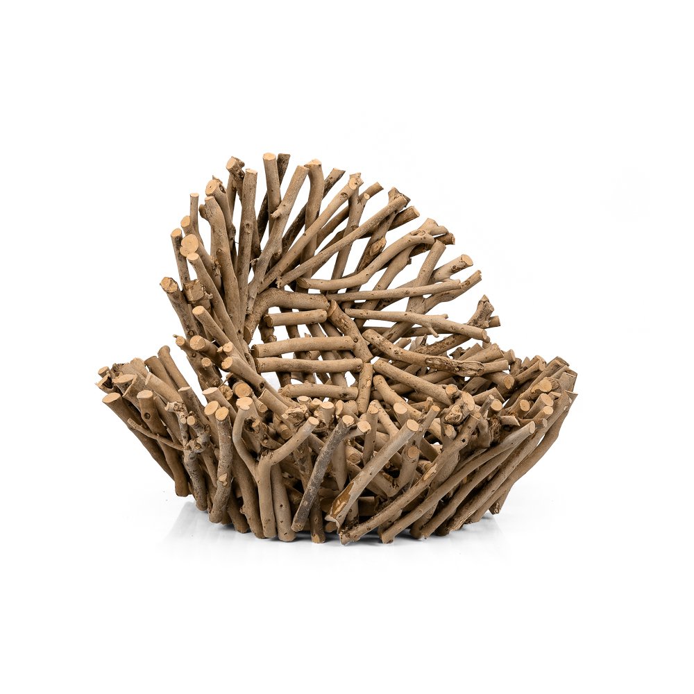 tipos de galhos para decoração