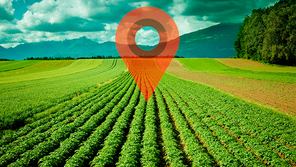 prazo georreferenciamento de terra