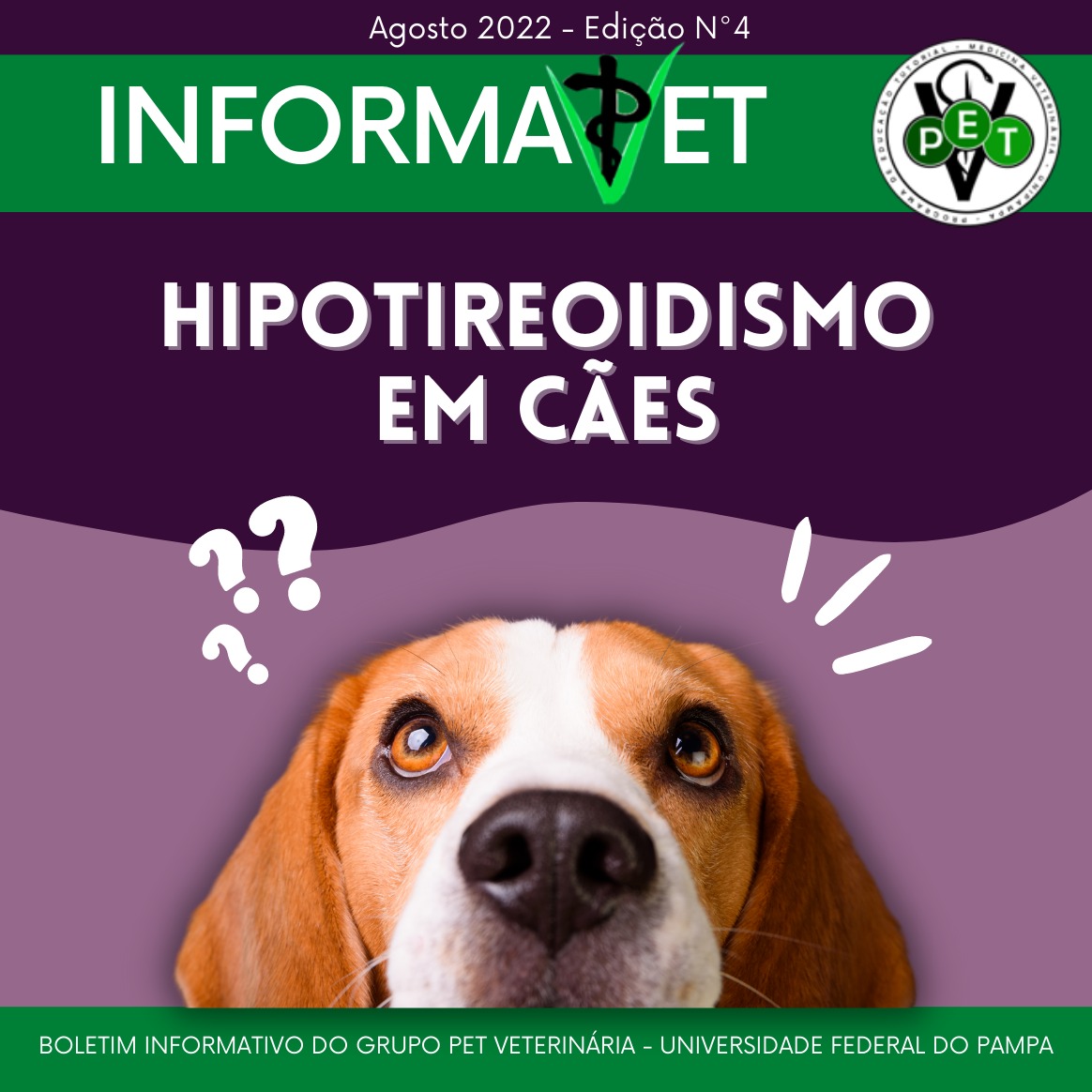 hipotireoidismo em cães