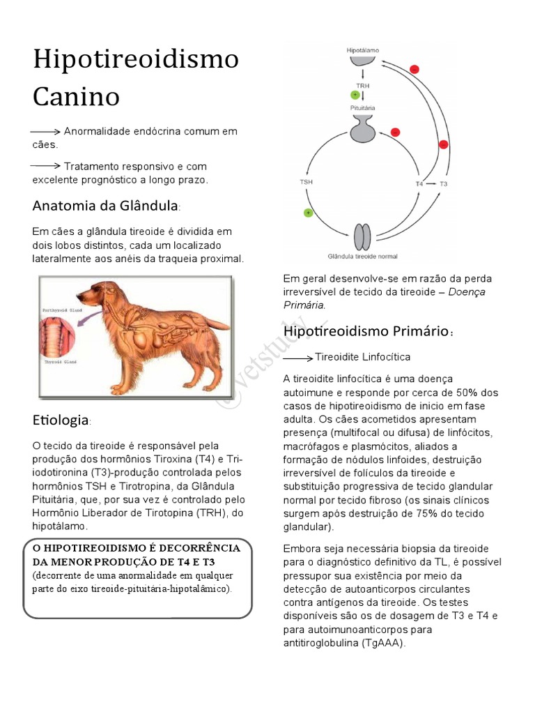 diagnóstico hipotireoidismo veterinário