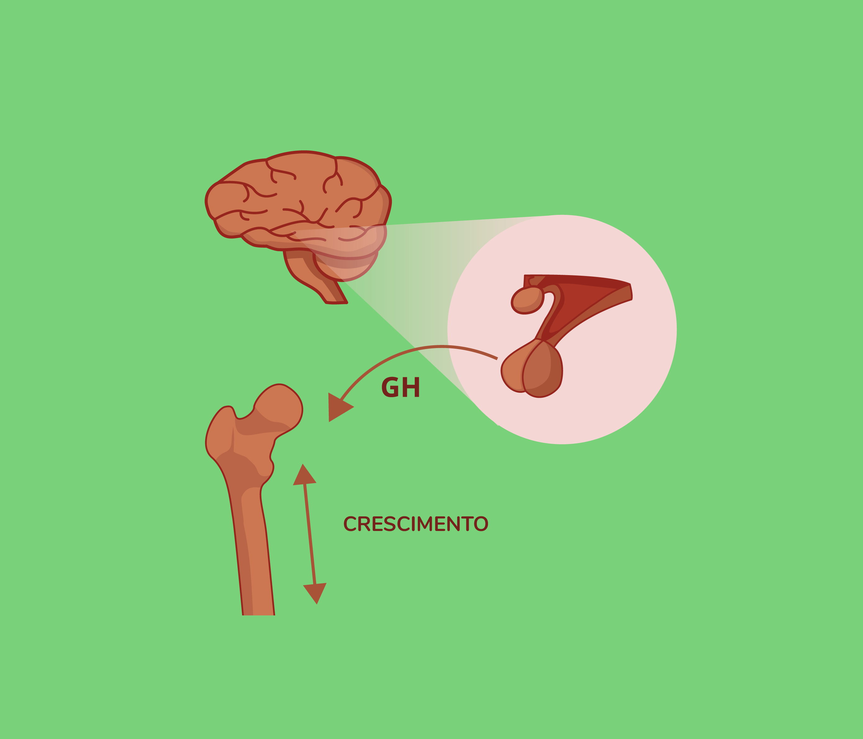 GH para Crianças: Indicações e Benefícios no Crescimento