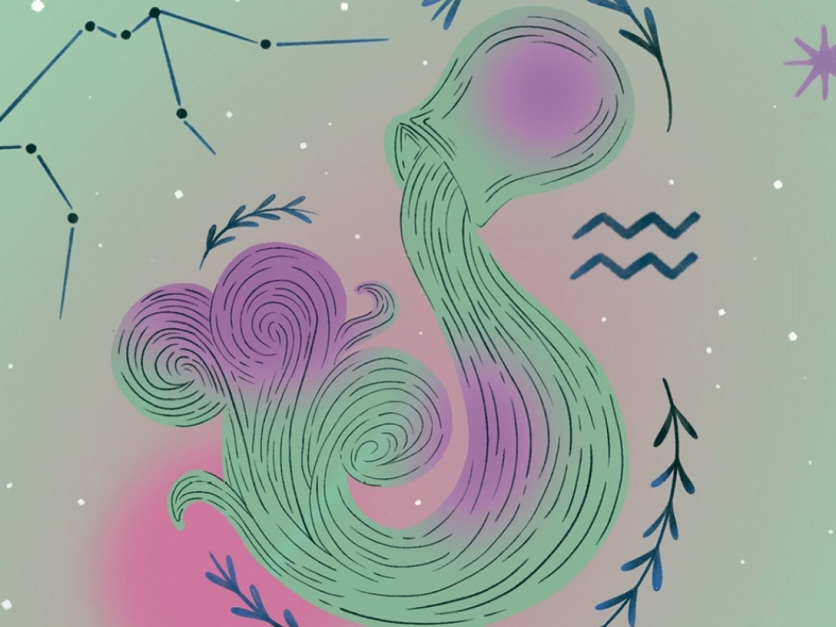 1. Horóscopo de Fevereiro de 2026: Um Mês de Transformação Profunda
2. Saturno em Áries: O Que Esperar em Fevereiro de 2026
3. Previsões Astrológicas Detalhadas para Cada Signo em Fevereiro de 2026
4. Lua Cheia em Leão e Eclipse em Aquário: Impactos em Fevereiro
5. Como a Entrada de Mercúrio em Peixes Afetará sua Comunicação em Fevereiro de 2026