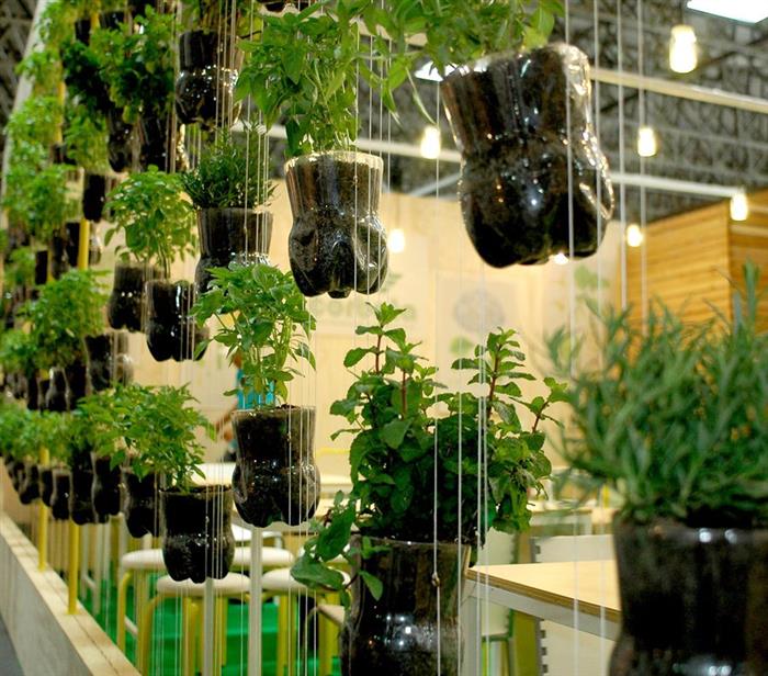 horta vertical garrafa pet vs vasos tradicionais