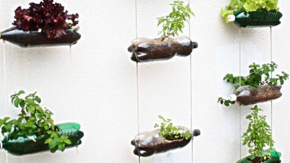 10 ideias criativas horta vertical garrafa pet
