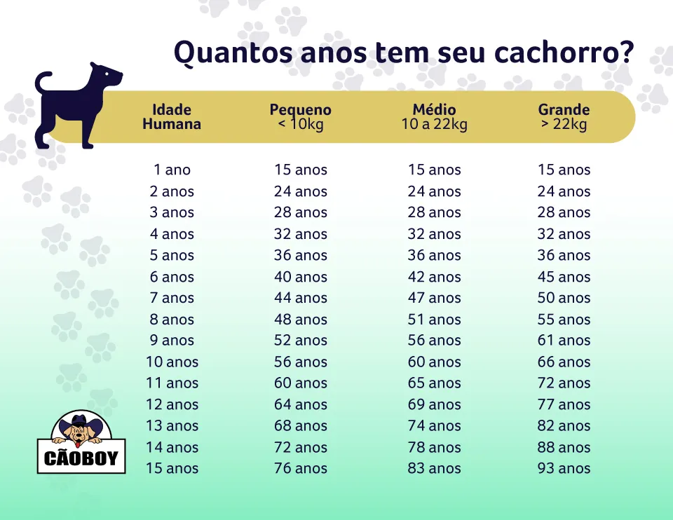 idade de cachorro tabela