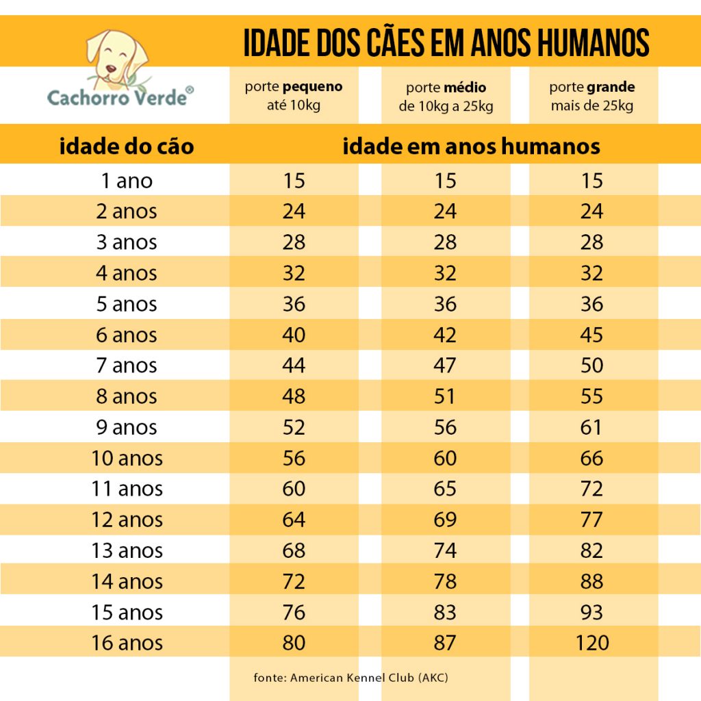 Guia Completo: Como Calcular a Idade do Seu Cachorro Pelo Porte