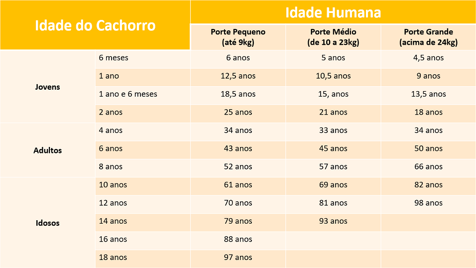 Guia Completo: Como Calcular a Idade do Seu Cachorro Pelo Porte