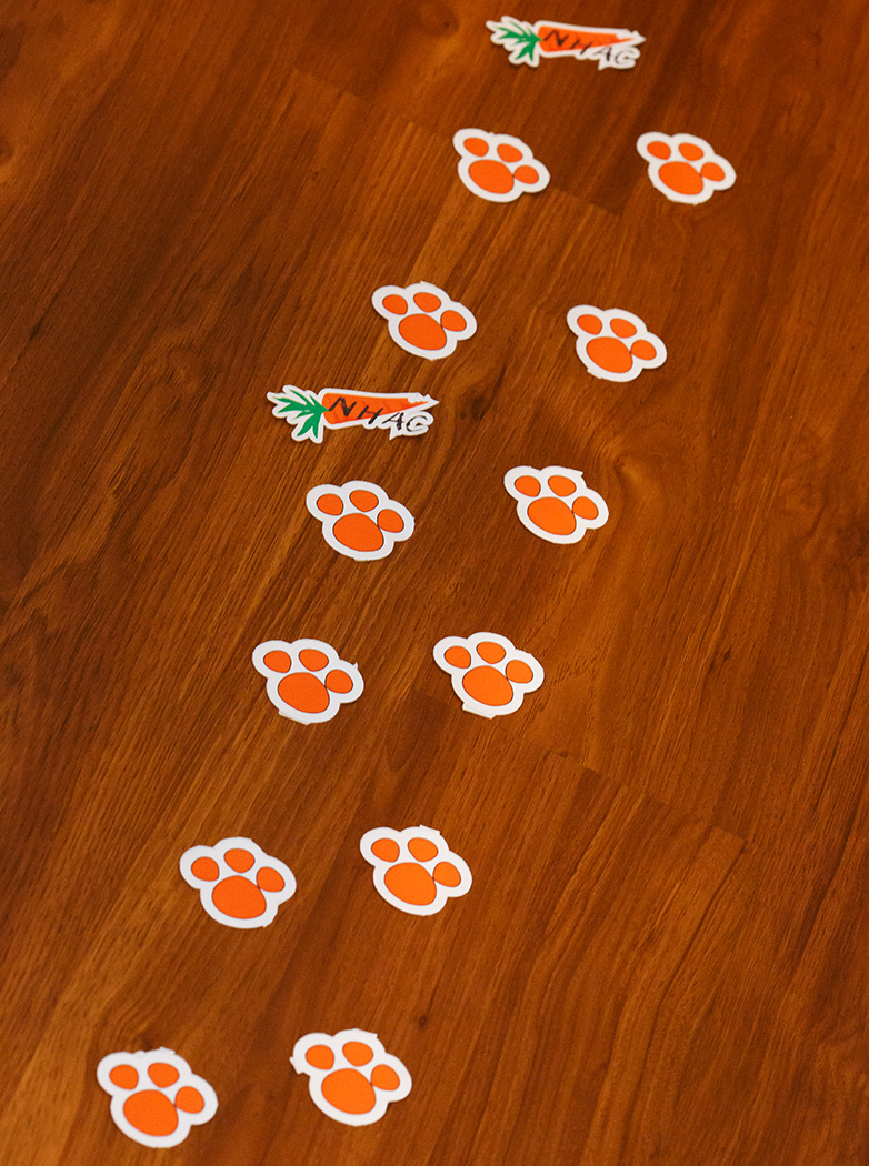 caça ovos pascoa barata e divertida