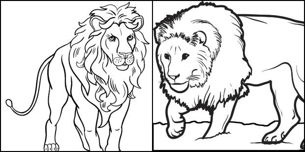 custo de materiais para colorir leão