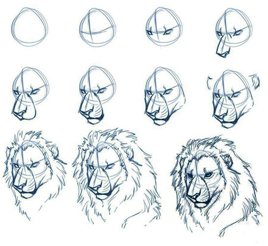 imagem de leão para colorir