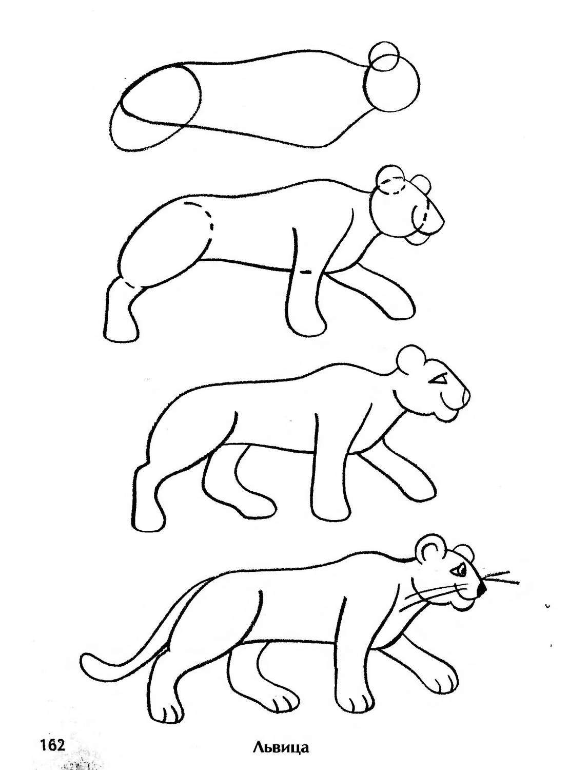 desenho de leão para colorir inspirador para crianças