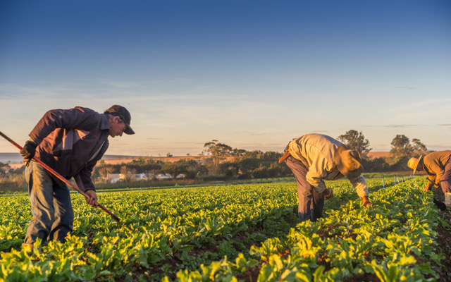 Programa Terra da Gente: Agilizando o Acesso à Terra para Famílias Rurais