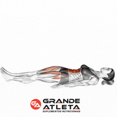 Guia Completo de Exercícios para o Core