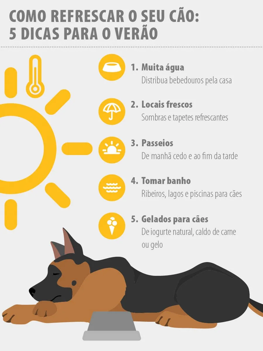 insolação em cães