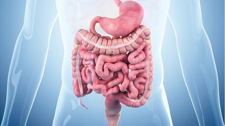 Intestino Barulhento