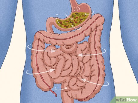 dor abdominal e gases juntos