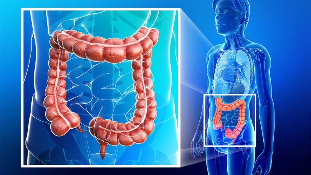o que são os barulhos na barriga