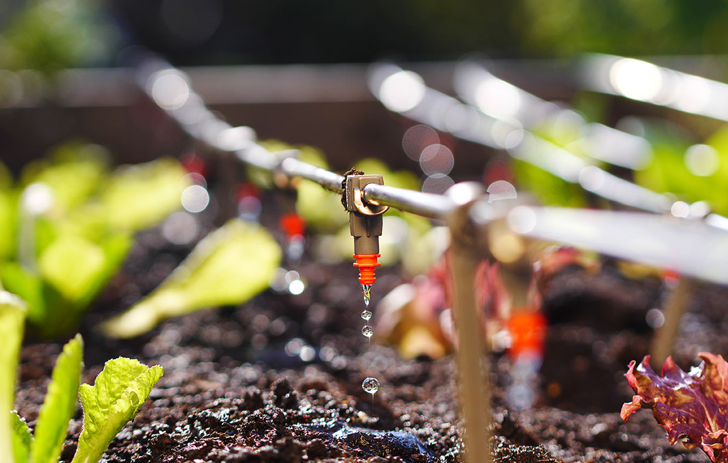 Guia Completo: Montagem de Sistema de Irrigação por Gotejamento DIY