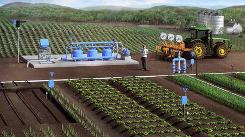 O Poder da Fertirrigação: Nutrição Direta na Raiz com Gotejamento