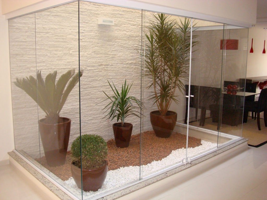 plantas ideais para jardim de inverno no quarto com pouca luz