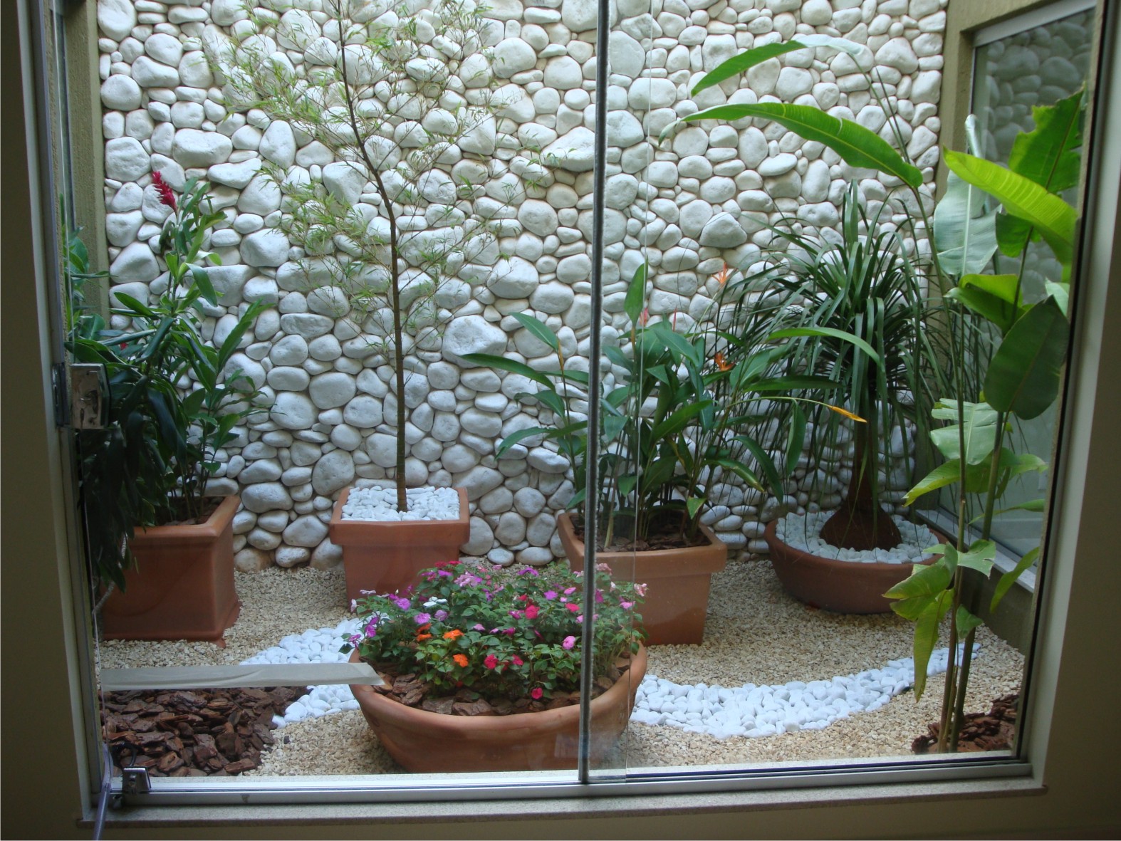 plantas ideais para jardim de inverno no quarto com pouca luz