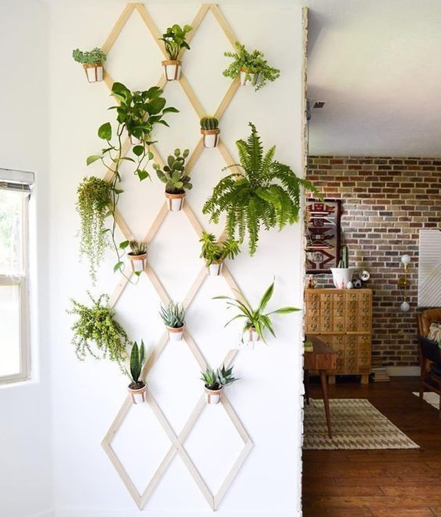 Jardim vertical DIY: Transforme pequenos espaços