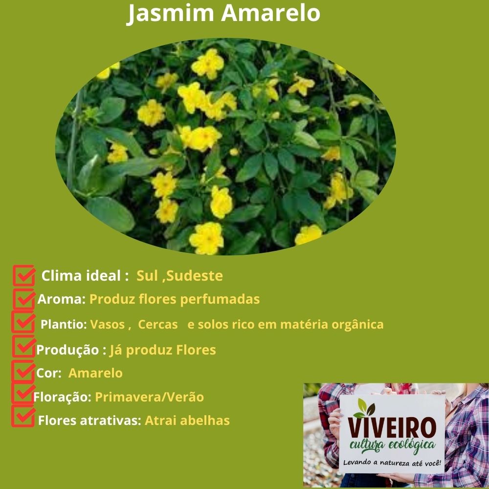 Flores amarelas
