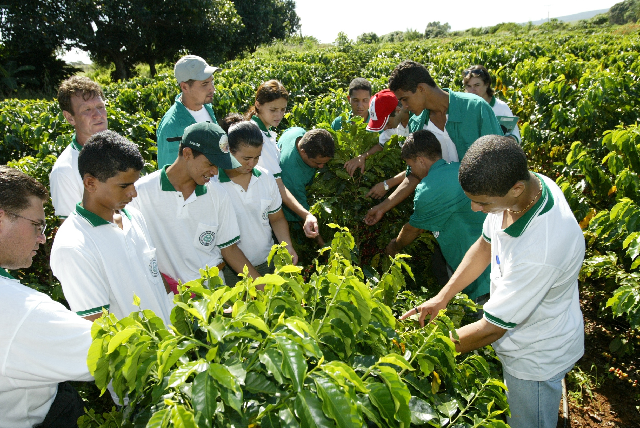 jovens na agricultura familiar