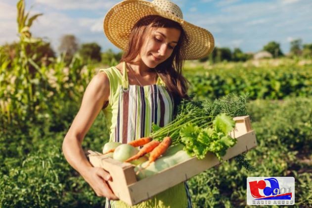 sucessão rural para jovens