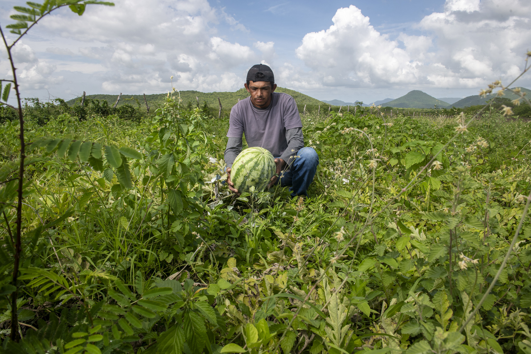 empreendedorismo no campo para jovens