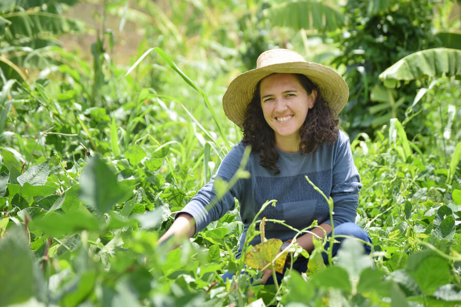 sucessão rural para jovens