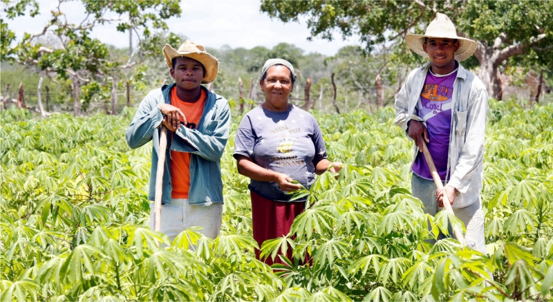 empreendedorismo no campo para jovens