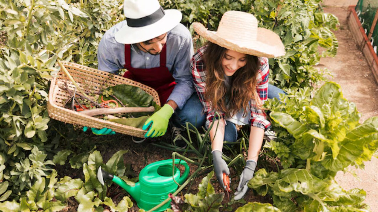políticas públicas para juventude rural