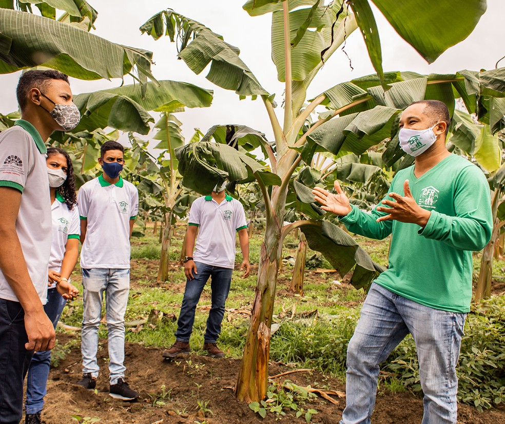desafios da juventude no campo