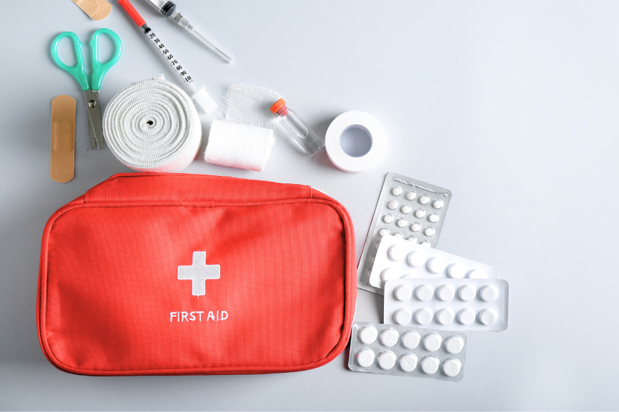 kit básico para emergência canina