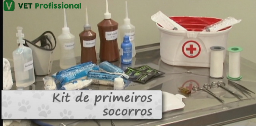 o que ter em um kit de primeiros socorros para cachorro