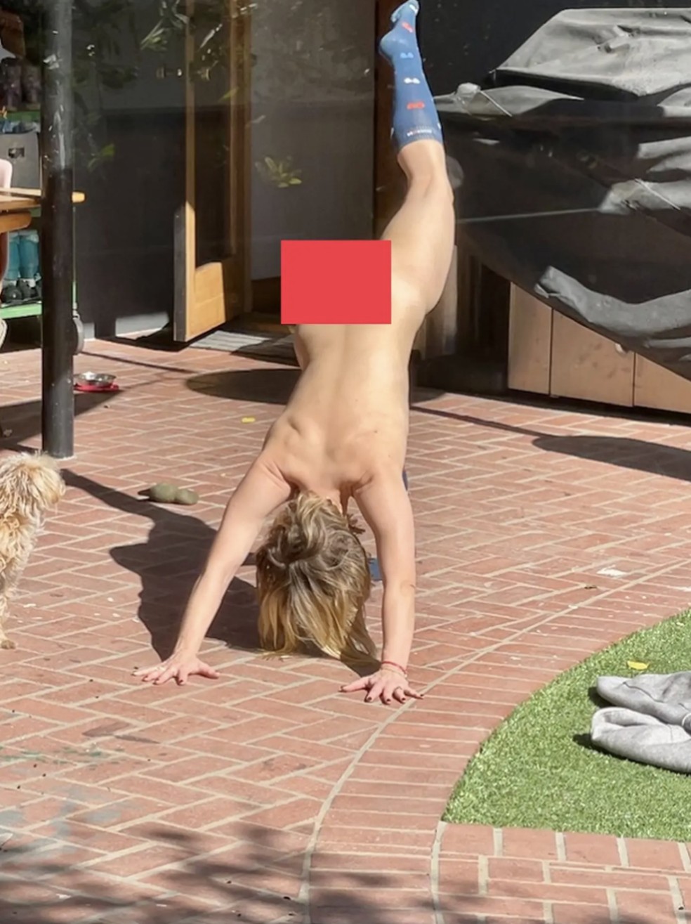 Ferramentas Essenciais para Análise de Dados Web