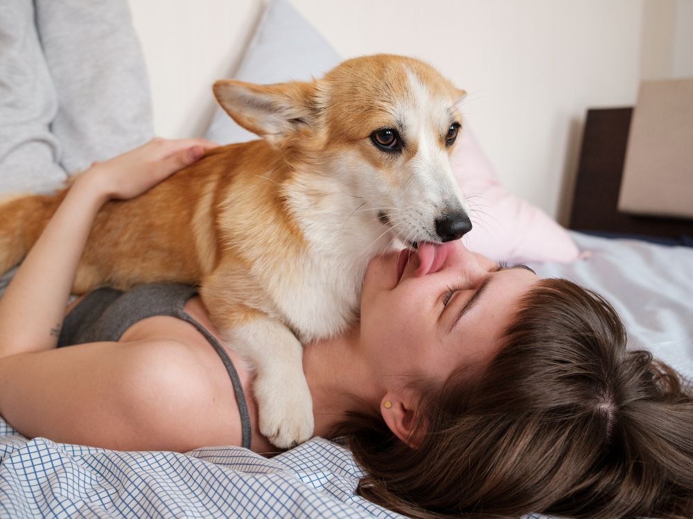 Frases emocionantes para homenagear seu pet