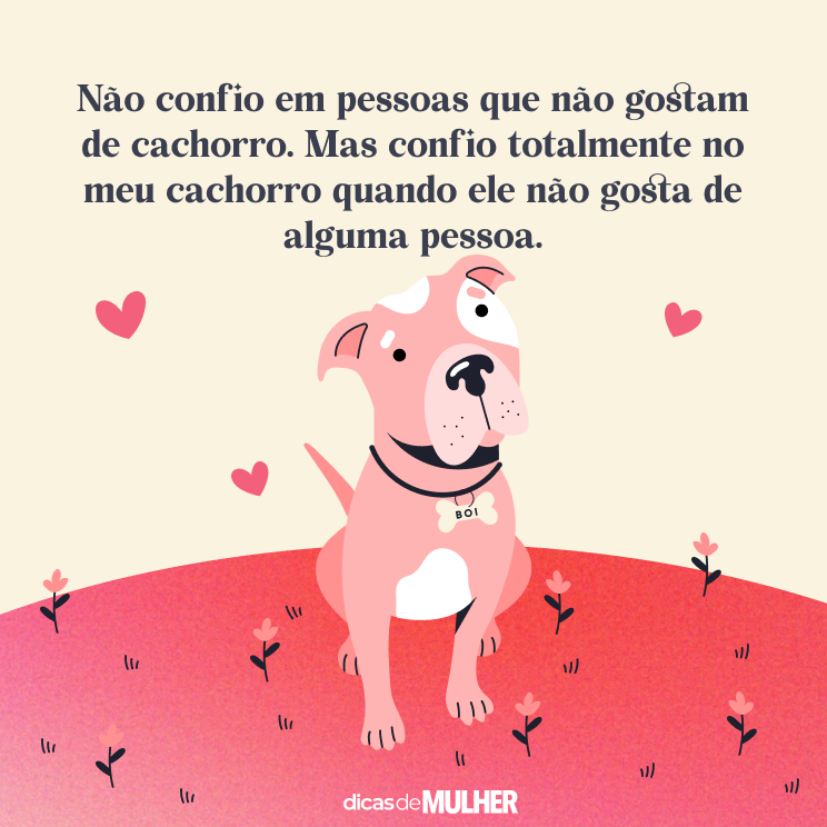 Frases emocionantes para homenagear seu pet