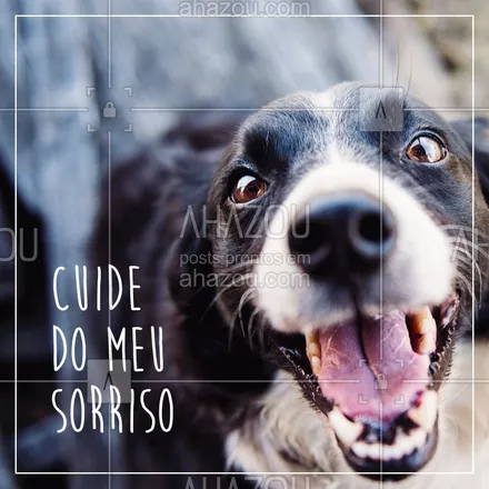 Frases de aniversário para seu cachorro ou gato