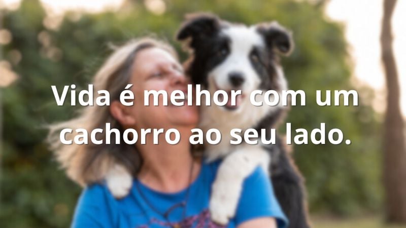 Legendando momentos: frases para passeios com seu pet