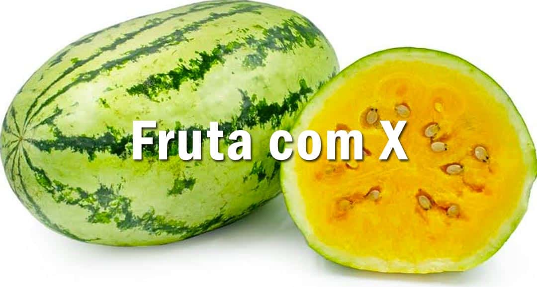 comidas com x