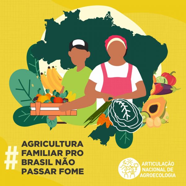 lei da agricultura familiar