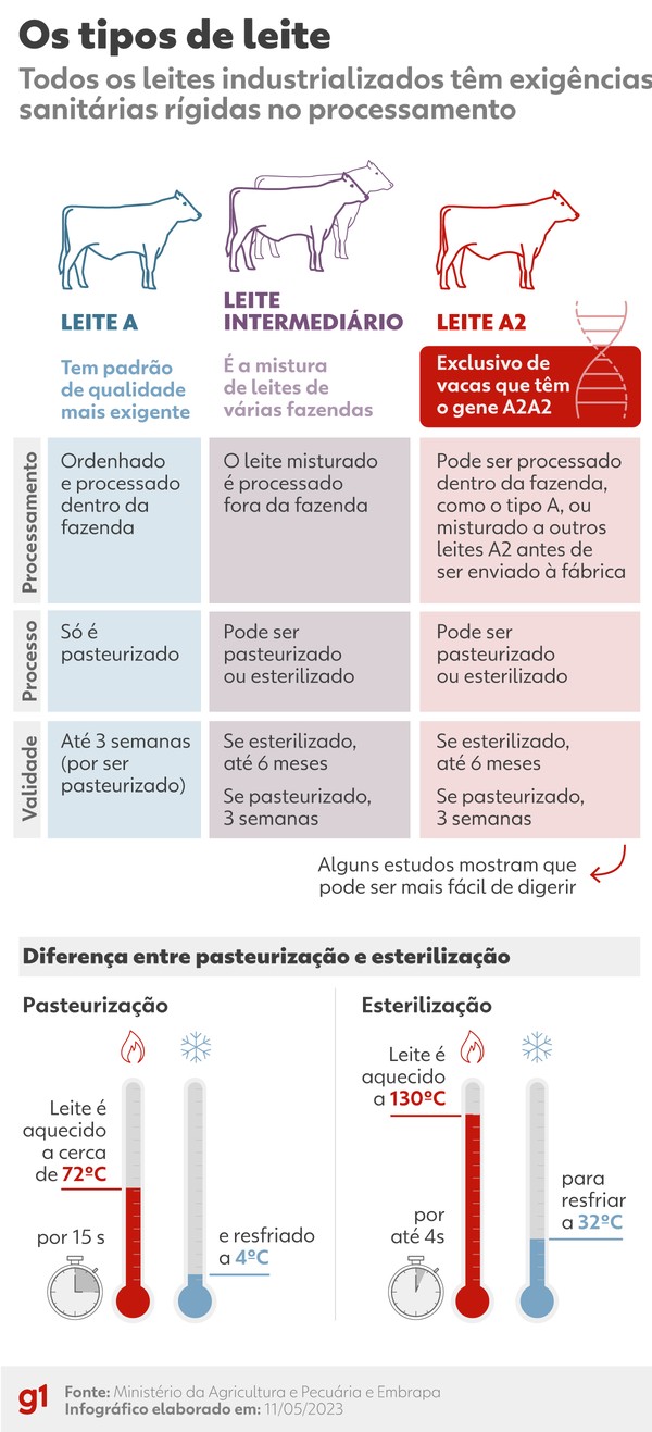 Whey Protein: o impacto na sua pele e como evitar espinhas