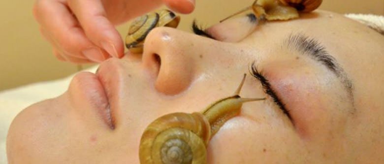 Lesma Em Contato Com A Pele