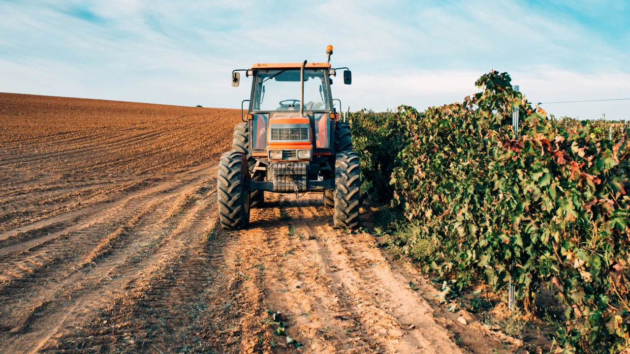desafios logísticos agricultura familiar Brasil