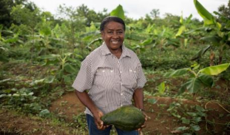 desafios logísticos agricultura familiar Brasil