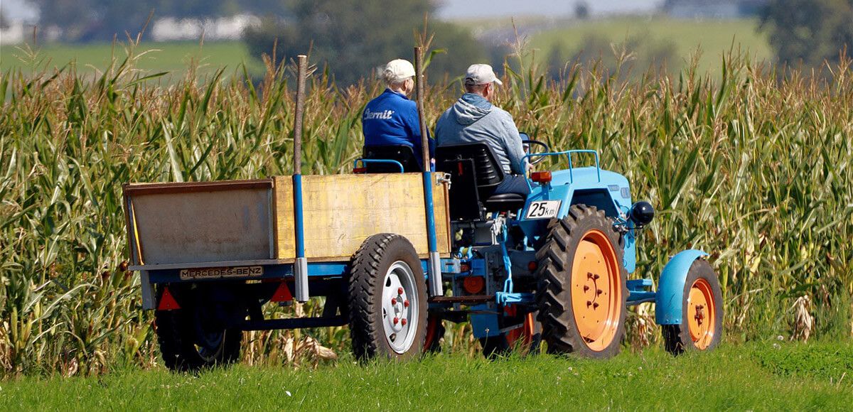 como melhorar distribuição alimentos do campo